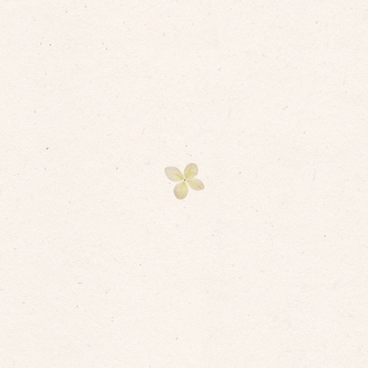 Geboortekaart gedroogde bloemen hortensia Achterkant