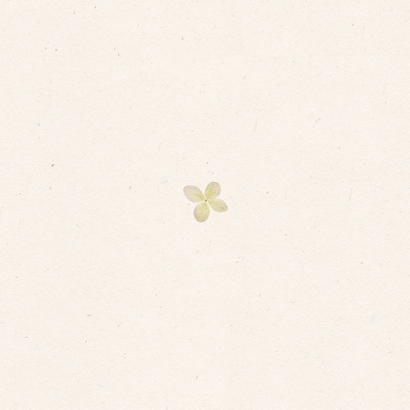 Geboortekaart gedroogde bloemen hortensia Achterkant