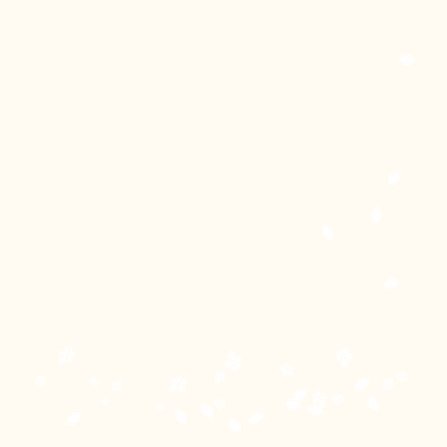 Geboortekaart kinderwagen met bloemetjes en blaadjes Achterkant