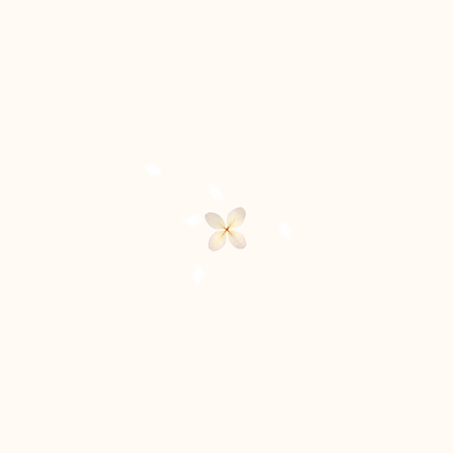 Geboortekaart met hart van hortensiabloempjes Achterkant