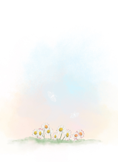 Geboortekaart olifantje met vlindertjes Achterkant