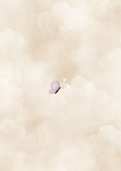 Geboortekaartje beertje in luchtballon vlinders en hartjes Achterkant