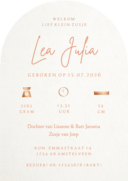 Geboortekaartje boog vorm met silhouet 2 broers en baby Achterkant