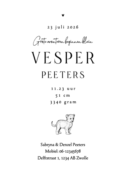 Geboortekaartje boogkaart stijlvol jungle dieren leeuw Achterkant