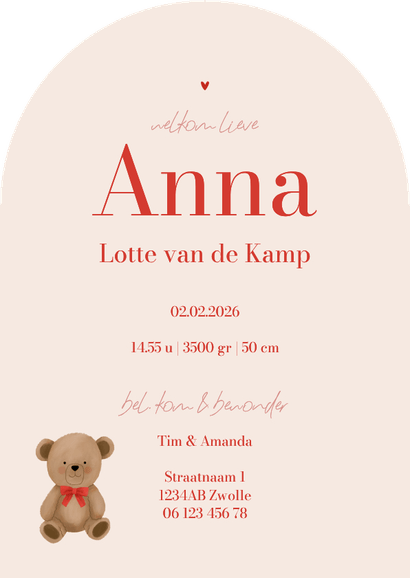 Geboortekaartje boogvorm teddybeer met strik hartjes roze Achterkant