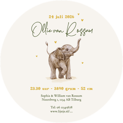 Geboortekaartje cirkel jungle olifant baby schattig Achterkant