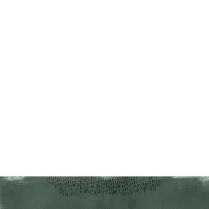 Geboortekaartje dinosaurus broertje maan hartjes zilver Achterkant