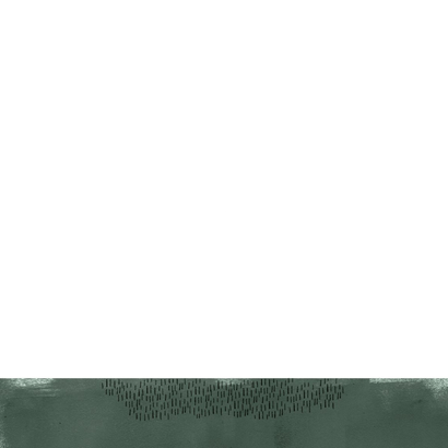 Geboortekaartje dinosaurus broertje maan hartjes zilver Achterkant