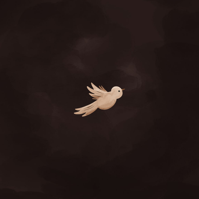 Geboortekaartje donkerroze met takjes en duiven Achterkant