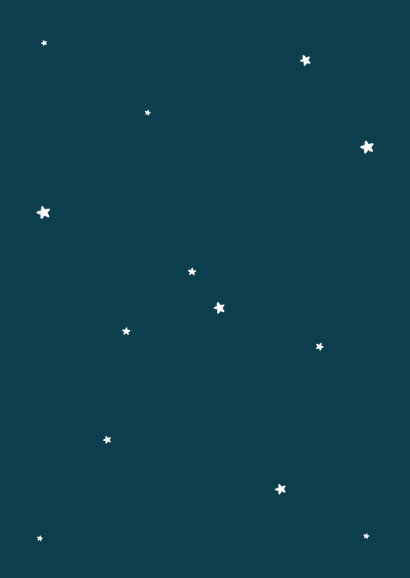 Geboortekaartje luchtballon dieren vintage sterren maan Achterkant