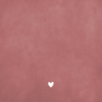 Geboortekaartje meisje silhouet wiegje en 2 grote broers Achterkant