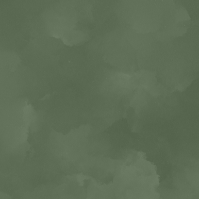 Geboortekaartje met geboortebloem december hulst goudfolie Achterkant