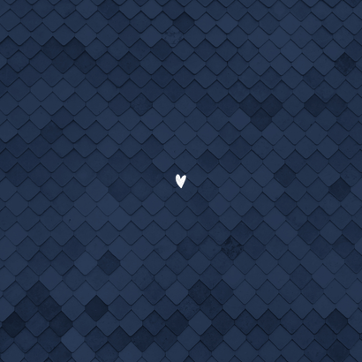 Geboortekaartje met goudfolie en blauw ruitjespatroon Achterkant