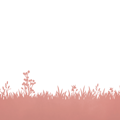 Geboortekaartje met silhouet bakfiets met 2 broers en zusje Achterkant