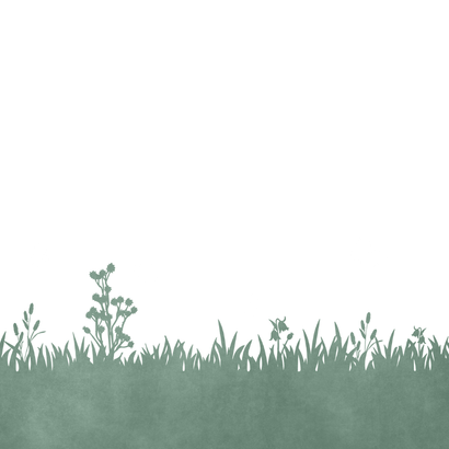 Geboortekaartje met silhouet van bakfiets met zoontje Achterkant