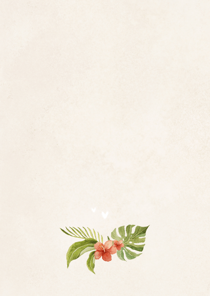 Geboortekaartje olifantje jungle kleurrijk vrolijk kader Achterkant