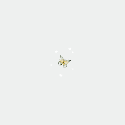 Geboortekaartje olifantje vlinders hartjes goud illustratie Achterkant