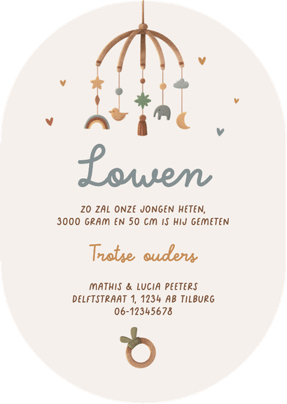 Geboortekaartje ovaal auto vintage retro speelgoed hout hip Achterkant