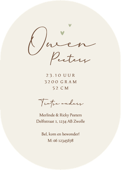 Geboortekaartje pilvorm baby dino t-rex ei schattig Achterkant