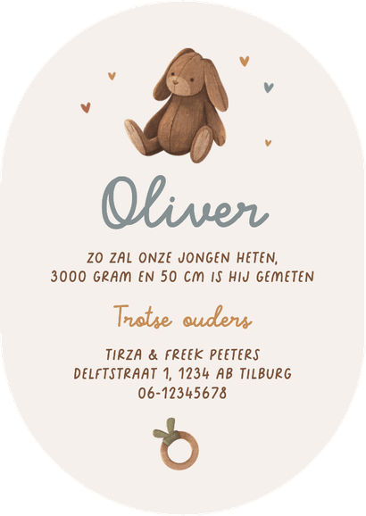 Geboortekaartje pilvorm vintage mobiel dieren regenboog Achterkant