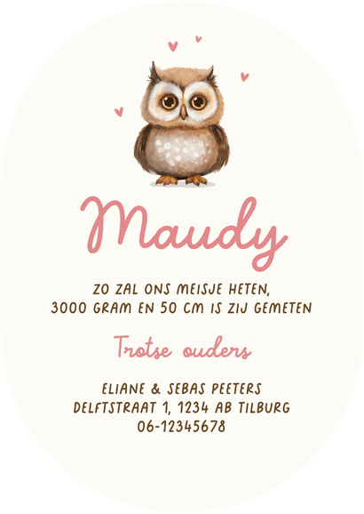 Geboortekaartje schattig uiltje pilvorm gestreept dieren Achterkant