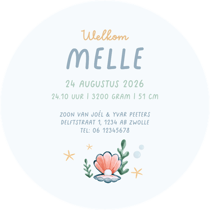 Geboortekaartje schildpad onderwater zee cirkelvorm Achterkant