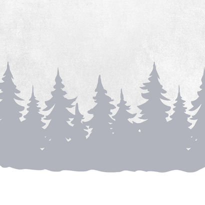 Geboortekaartje slee met zusjes en baby jongen Achterkant