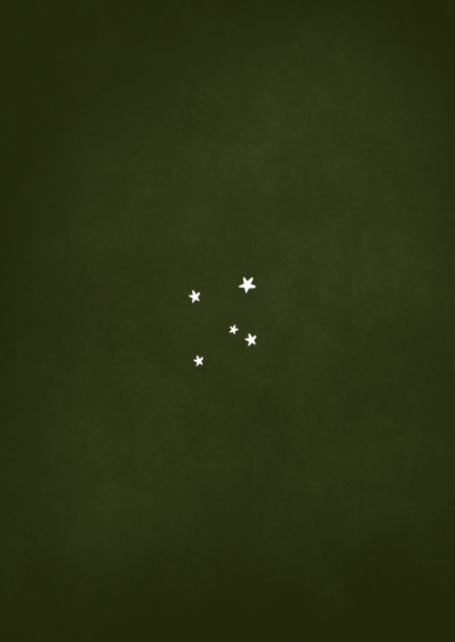 Geboortekaartje stoer ridder held draak sprookje Achterkant