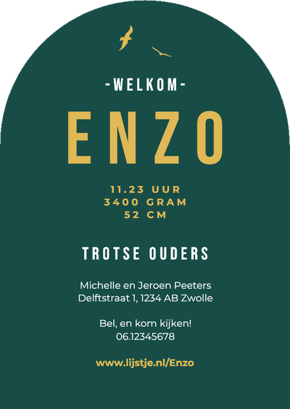 Geboortekaartje stoer silhouet motor jongen vogels Achterkant