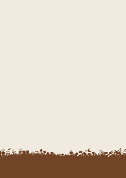 Geboortekaartje zusje met baby broertje in kruiwagen Achterkant