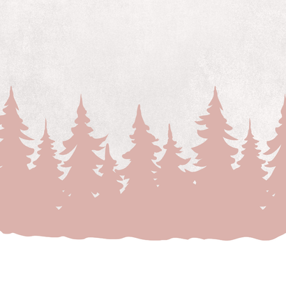 Geboortekaartje zusjes met slee Achterkant