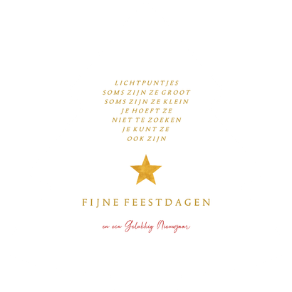 Kerstboomvorm fotocollage met takjes en sterren Achterkant