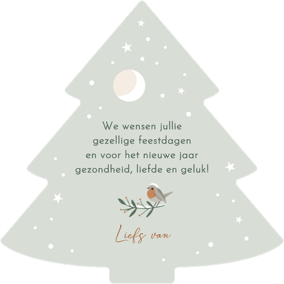 Kerstkaart dennenboompje 'Fijne Kerst' roodborstje & sneeuw Achterkant