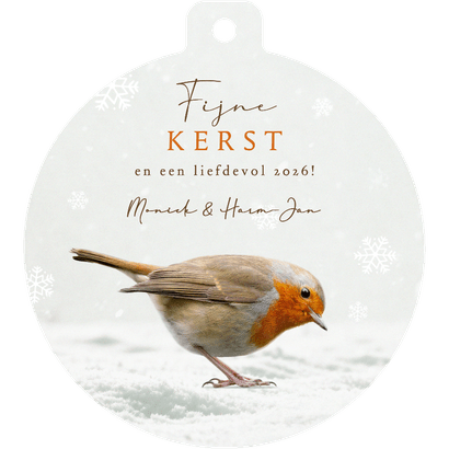 Kerstkaart roodborstje kerstbal winter sneeuwvlokken kerst Achterkant