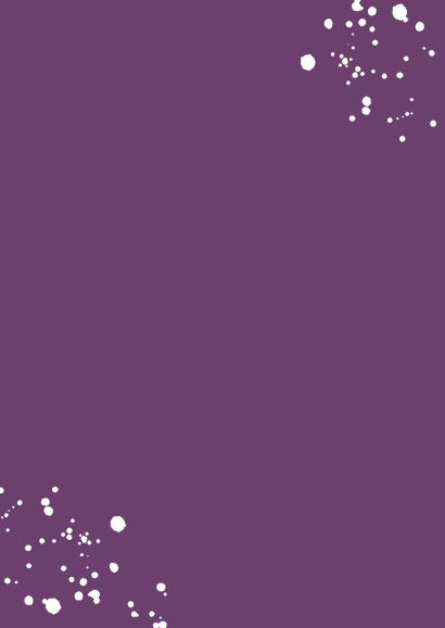 Kinderfeestje 1 jaar cake smash taart foto holografisch Achterkant