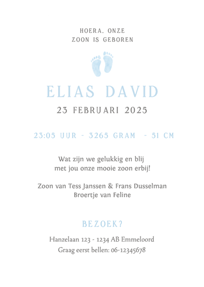 Klassiek ovaal geboortekaartje met lichtblauwe voetjes  Achterkant