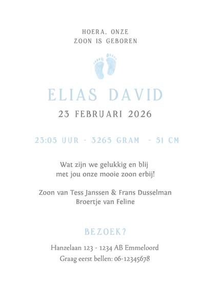 Klassiek ovaal geboortekaartje met lichtblauwe voetjes Achterkant