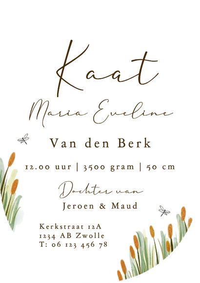 Lief geboortekaartje gans water riet streeppatroon Achterkant