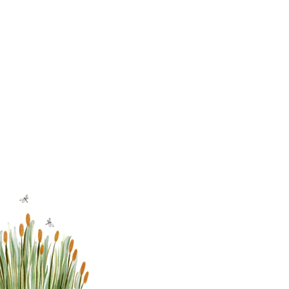Lief geboortekaartje illustratie gans riet libelle Achterkant