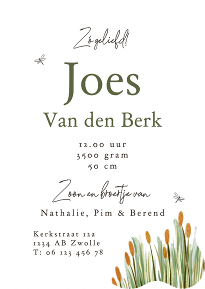 Lief geboortekaartje illustratie gans watercolor streep Achterkant