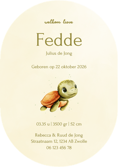 Lief groen ovaal geboortekaartje met een schildpadje Achterkant