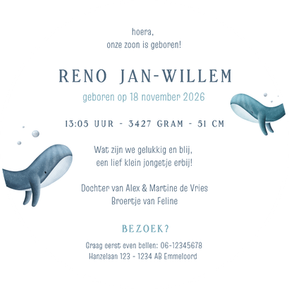 Lief rond geboortekaartje broertje met 2 walvissen  Achterkant