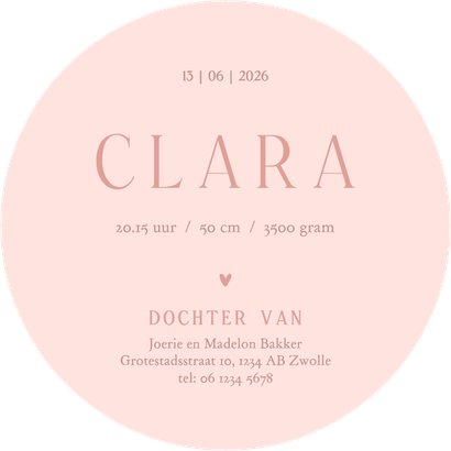 Lief roze geboortekaartje rond met schattig gansje Achterkant