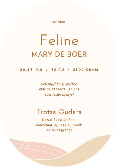 Modern geboortekaartje ovaal met landschap roze Achterkant