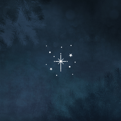 Moderne sfeervolle kerstkaart vrede en liefde met 2 duifjes Achterkant