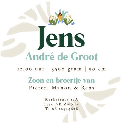 Origineel geboortekaartje cirkel bloemenkader blauw streep Achterkant
