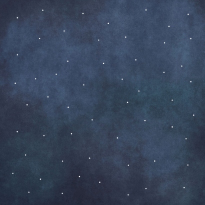 Save the Date trouwkaart - silhouet van aanzoek in zeilboot Achterkant