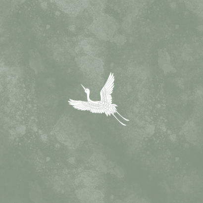 Stijlvol geboortekaartje tweeling met foto groen met vogels Achterkant