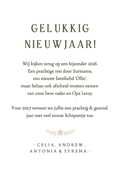 Stijlvolle boogvorm nieuwjaarskaart met eigen foto Achterkant