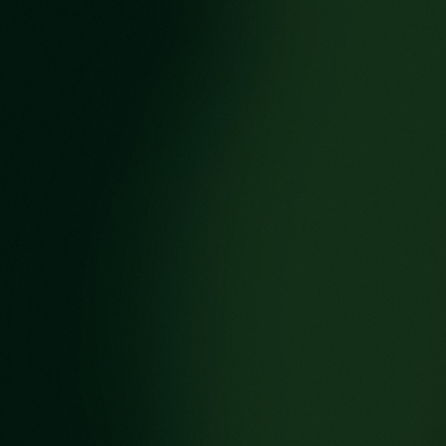 Stijlvolle zakelijke kerstkaart kerstboom licht Achterkant